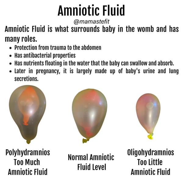 How To Know You Have Enough Amniotic Fluid at Shirley Crawford blog